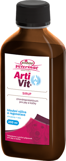 VITAR ArtiVit Sirup 200ml