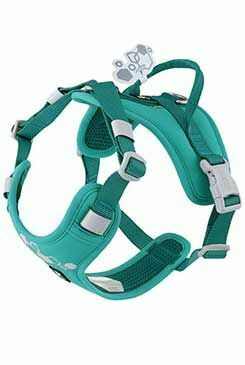 Postroj Hurtta Weekend Warrior II ECO paví zeleň 55-70