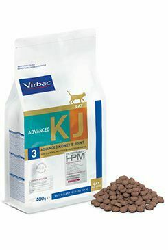 VET HPM Cat Advanced Kidney & Joint 400g