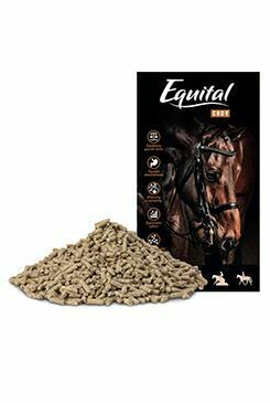 Equital Chov pro koně 25kg