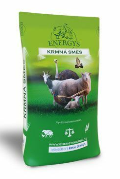 Krmivo pro pštrosy ENERGYS Mini 25kg