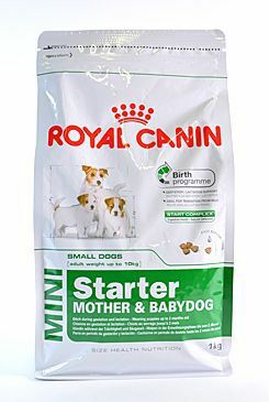 Royal Canin Mini Starter Mother&Babydog 1kg