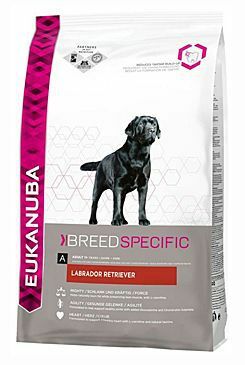 Eukanuba Dog Breed N. Labrador Retriever 12kg