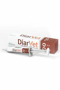VetExpert DiarVet pasta 20g