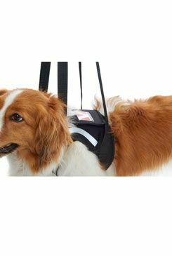 Postroj zvedací Rehab na přední nohy XS KRUUSE