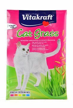 Vitakraft Cat Gras Refill tráva  50g