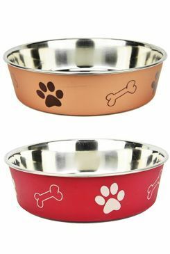 Miska nerez tlapka+kost 1,4l 21cm mix barev TR