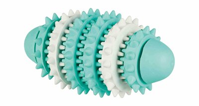 Hračka pes Dentafun RUGBY s mátou 15cm zelená/bílá TR