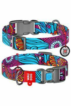 Obojek nylon Summer QR (33-49cm/2,5cm)