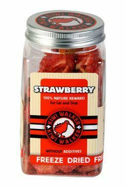 Pochoutka mrazem sušená jahoda 25g Kiwi