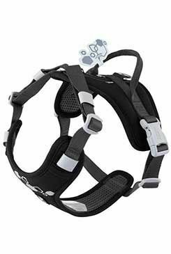 Postroj Hurtta Weekend Warrior II ECO černý 40-50