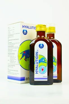 Hyalutidin DC pro psy a kočky 2x125ml