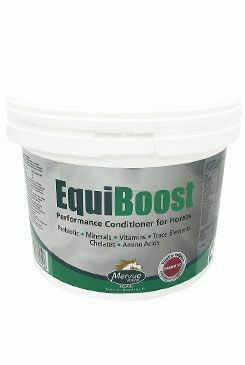MERVUE EQUIBOOST POWDER kbelík 3kg