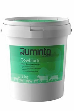 Cowblock 1kg