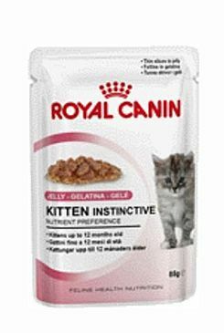Royal Canin Kom.Feline Kitten Inst kapsa, želé 85g
