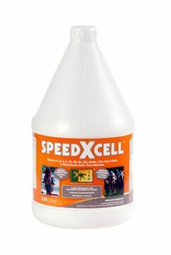 TRM pro koně Stride Speed X Cell 3,75l