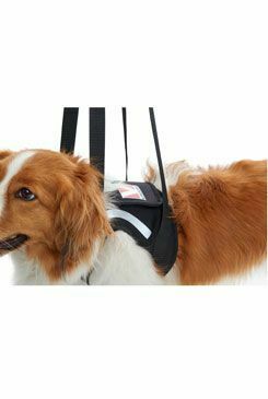 Postroj zvedací Rehab na přední nohy XL KRUUSE