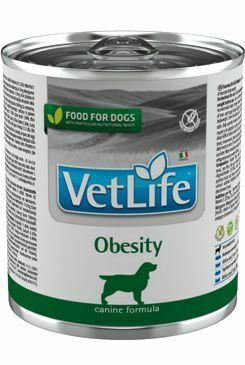 Vet Life Natural DOG konz. Obesity 300g