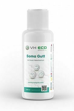 VH Eco Soma spray rozprašovač 1l