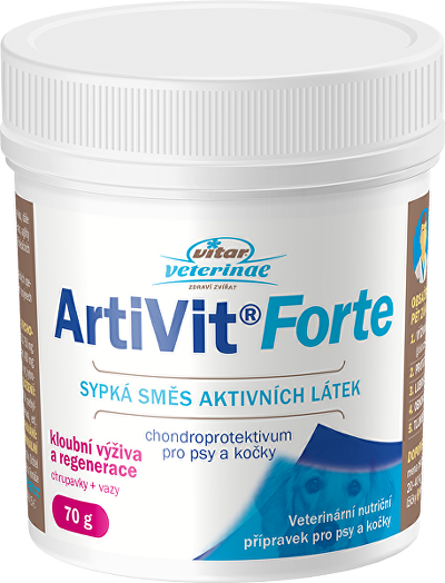 VITAR ArtiVit Forte prášek 70g