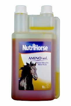 Nutri Horse Amino sol 1000ml