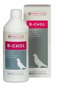 VL Oropharma B-Chol 500ml