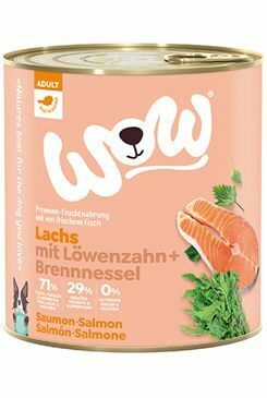 WOW konzerva Adult losos s rajčaty 800g