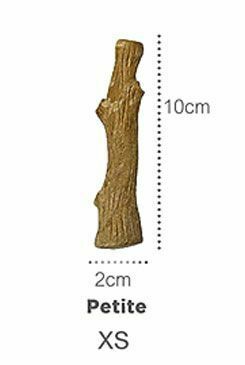Hračka pes žvýkací Petstages Dogwood XS-10/2cm