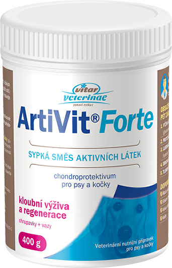 VITAR ArtiVit Forte prášek 400g