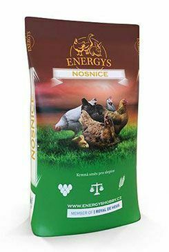 Krmivo pro kuřata ENERGYS Midi 10kg
