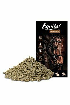 Equital Superwest pro koně 25kg