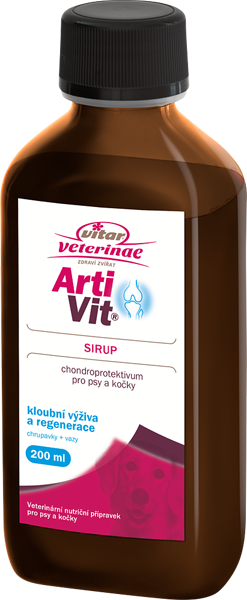 VITAR ArtiVit Sirup 200ml