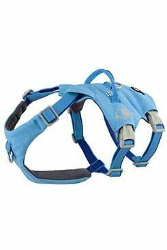 Postroj Hurtta Safeguard ECO oceánový 55-70