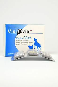 Visiovia pes,kočka 30tbl