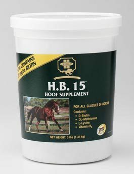 FARNAM H.B. 15 - Biotin plv 3,18kg