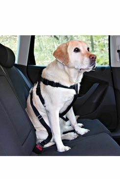 Postroj pes Bezpečnostní do auta XL Trixie