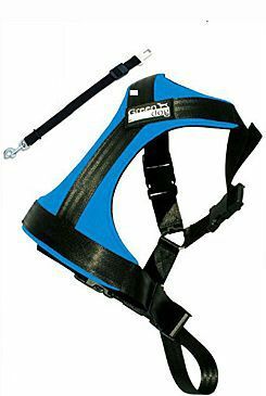 Postroj pes Bezpečnostní do auta GreenDog L modrá