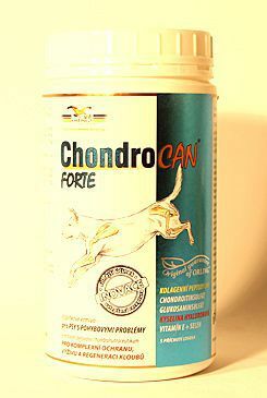 Chondrocan Forte 500g