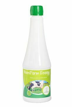 RumiForm Energy 500ml
