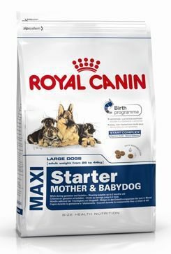 Royal Canin Maxi Starter Mother&Babydog 15kg
