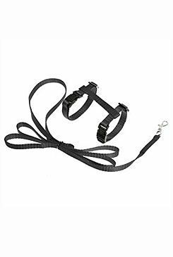 Postroj Kotě nylon+vodítko Černá KAR
