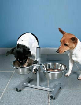 Psí bar na 2misky nerez 1,8l/21cm, nast.výška 40cm TR