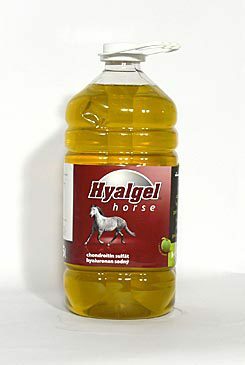 Hyalgel Horse jablko 5l