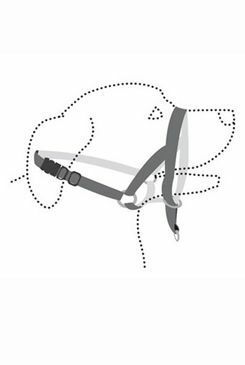 Ohlávka proti táhnutí Easy leader černá S KAR