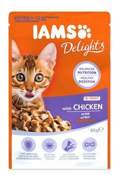 Iams Cat Kitten kuře v omáčce kapsa 85g