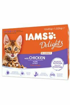 Iams Cat Kitten kuře v omáčce multipack 12x85g