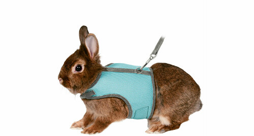 Postroj králík vesta s vodítkem 25-32cm/1,2m mix TR