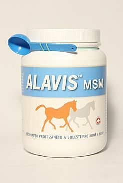 Alavis MSM pro koně plv 600g