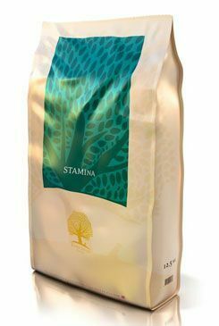 Essential Stamina 2,5kg