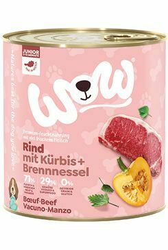 WOW konzerva Junior hovězí s dýní 800g